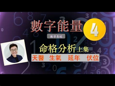 延年加生氣|【天醫 延年 生氣】解鎖你的數字運勢：天醫、延年、生氣號碼全。